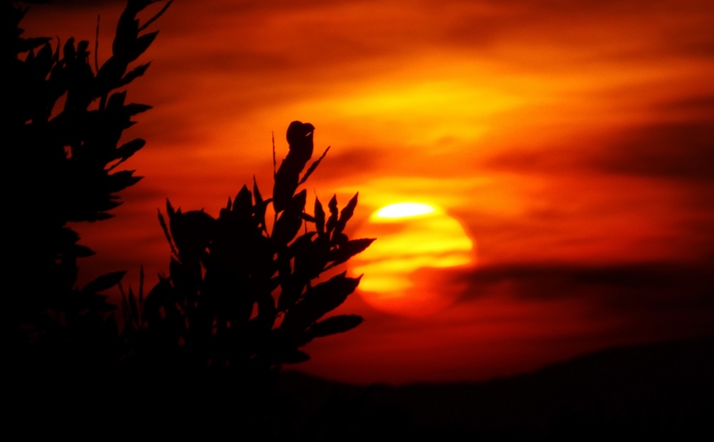 engagement-proposal-in-tuscany-sunset